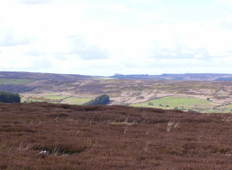 Swainby