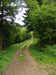 Burton's Plantation