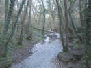 Cod Beck Valley