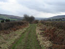 link to picture of Cold Moor lane