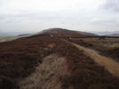 link to view along Cold Moor