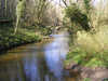 Derwent in Forge Valley