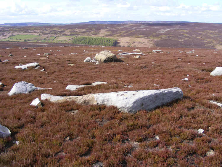 Swainby
