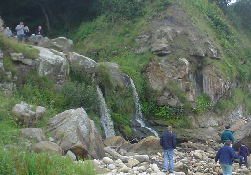 Falls at Hayburn Wyke