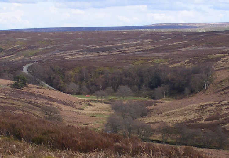 Hob Hole