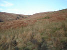 link to picture of Jenny Brewster Gill
