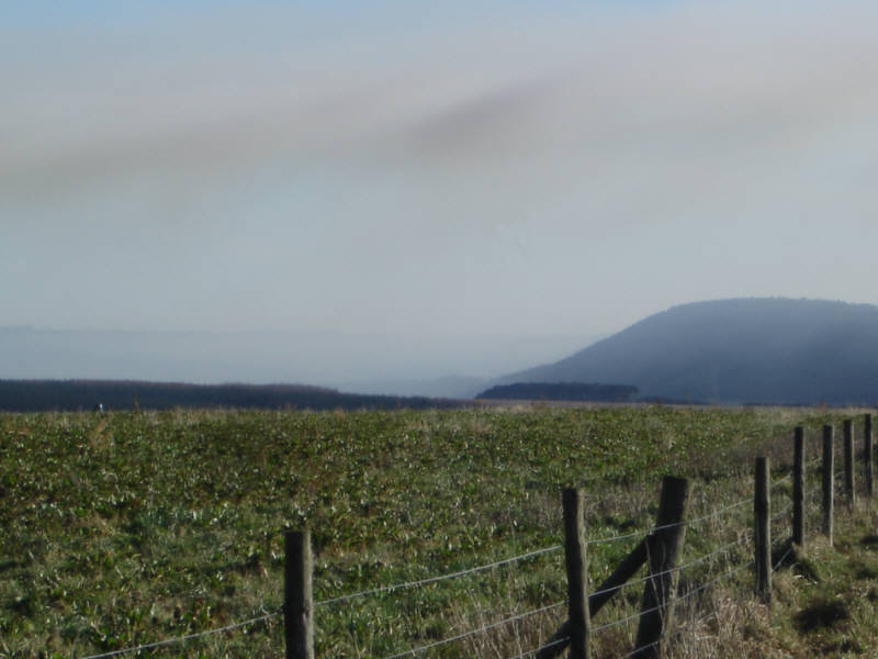 Picture of Jerry Noddle