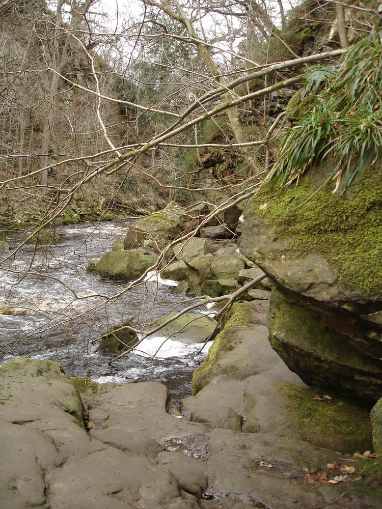 Swainby