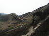 Nab Scar