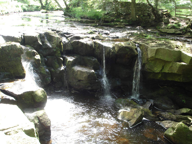 Nelly Ayre Foss 