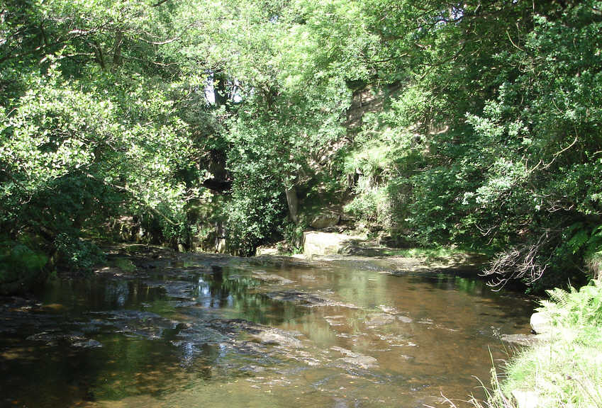 Nelly Ayre Foss from behind 