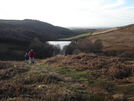 link to picture of Oak Dale