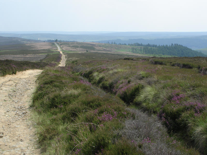 Percy Cross Rigg