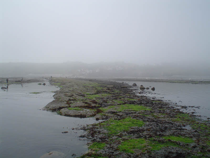 Looking inland from the reef, Robin Hood's Bay 