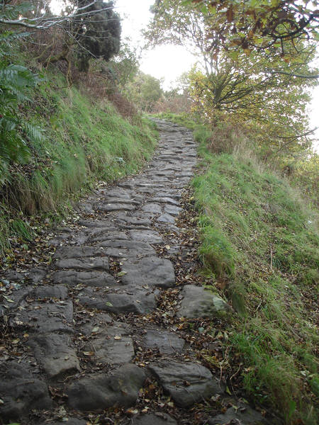 A path on Roseberry Topping 