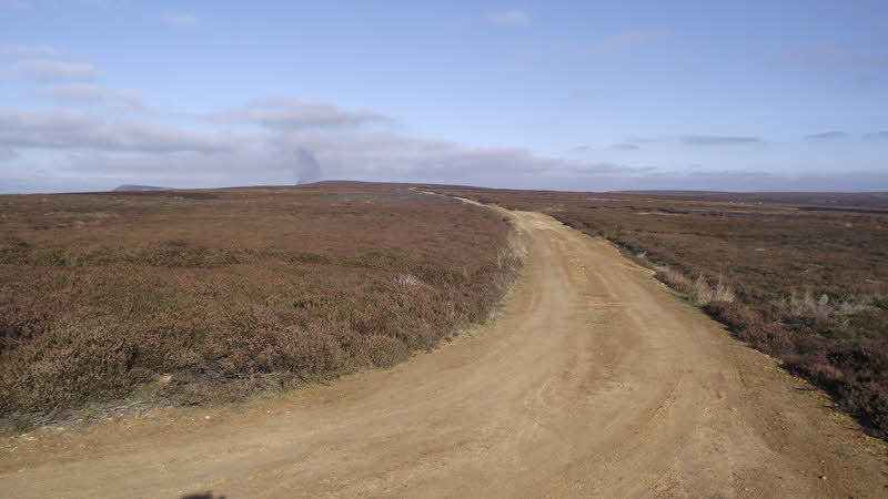 Stony Ridge, Whorlton Moor 