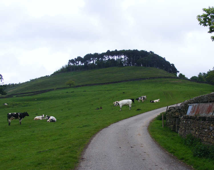 The Nab
