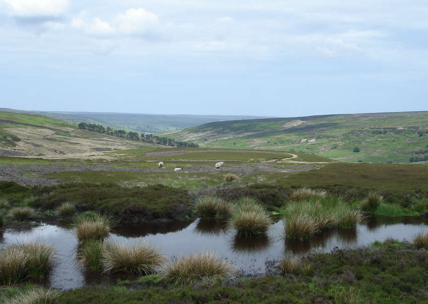 Westerdale from the Farndale Railway