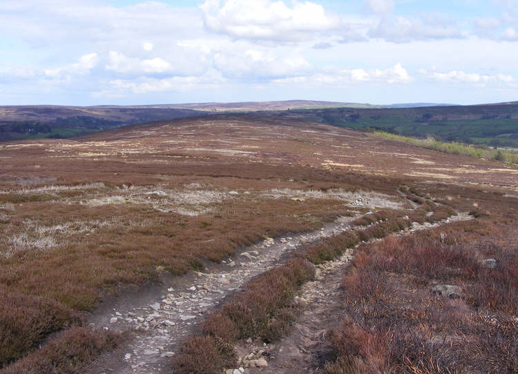 Westerdale Moor from Skinner Howe Cross Road