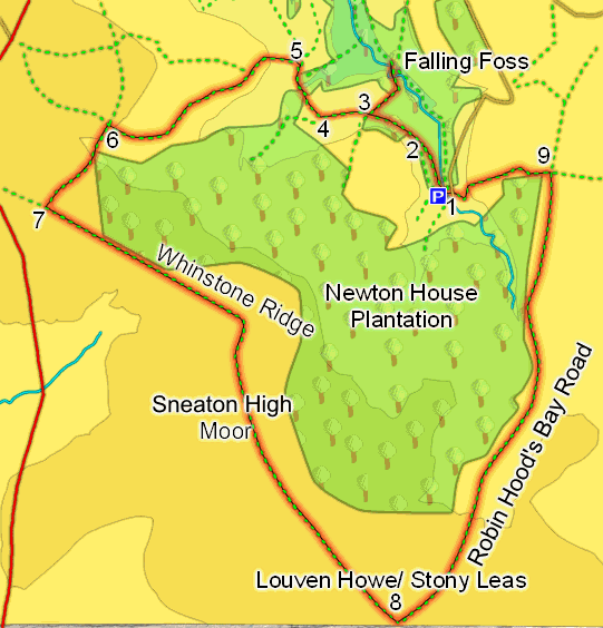 Sneaton High Moor